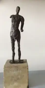 Man met één arm, 2004