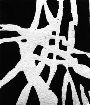 Vegetatie IV, 2013